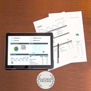 SEO - Dominate Package